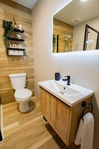a bathroom with a white sink and a toilet at Seanáras Beag in Galway