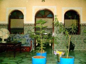 a room with three potted plants and a table at Riad Karmel Rose de Marrakech in Marrakesh