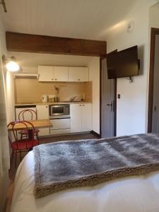 Chalet Appart'Hôtel l'Eau Vive的厨房或小厨房
