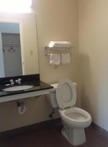 Un baño con inodoro, lavabo y espejo. en New Orleans Inn, en Nueva Orleans