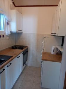 Kuchyňa alebo kuchynka v ubytovaní House Ani