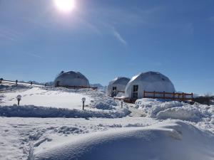 Glamping Pasieka Namiot Glamp Bukowina Tatrzańska - domki w górach v zimě