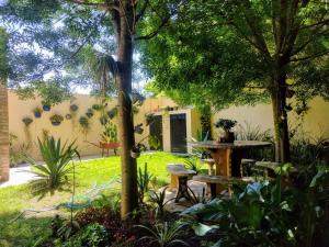 Κήπος έξω από το SOLES Hostel Boutique