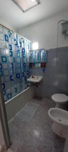 ein Badezimmer mit Toilette, Waschbecken und Dusche in der Unterkunft Departamento sobre la ruta en el centro in La Falda