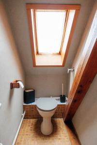 a bathroom with a toilet with a skylight at Rayon du Soleil in Wintzenheim +18 photos