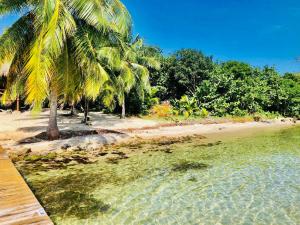 Kin Resort Lodge في Maya Beach: شاطئ فيه نخيل وماء