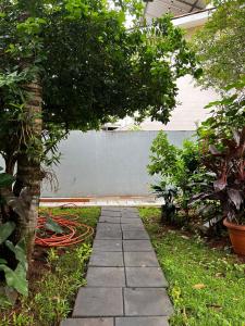 a garden with a tree and a hose at Casa próxima ao Centro de Foz in Foz do Iguaçu