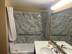 a bathroom with a shower and a sink and a tub at Wingate by Wyndham Harrisburg Near Hershey in Harrisburg +37 photos