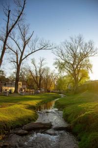 a small stream in a park with trees and grass at Flor del Aromito in Alta Gracia