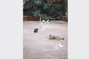 a cat laying on the ground next to a bird at Sleepy House Chiang Rai in Chiang Rai