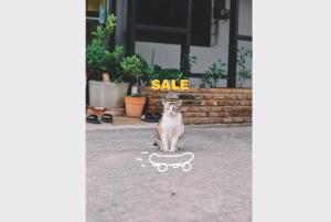 a cat sitting in front of a sale sign with a skateboard at Sleepy House Chiang Rai in Chiang Rai