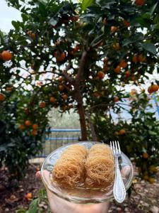 Gambar di galeri bagi Elli's Villa di Berat