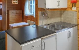 サレンにあるPet Friendly Home In Sälen With Saunaのシンクとカウンタートップのあるキッチン