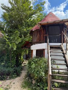 Κήπος έξω από το Tree House Tulum