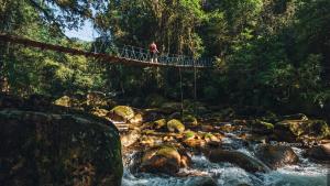 eine Person, die auf einer Brücke über einen Fluss steht in der Unterkunft Grajagan Mata Atlântica in Antonina