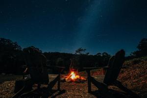 two people sitting around a camp fire at night at Nightcap Ridge - Byron Bay Hinterland in Dorroughby