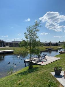 a dock with two chairs and a tree next to a lake at Elegantes Chalet am Wasser mit Steg Klimaanlage Ferienhaus am See Niederlande in Kampen