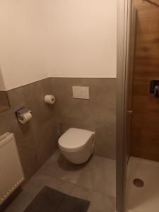 een badkamer met een toilet en een toiletpapierdispenser bij Achtalgarten in Pfronten