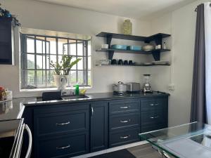 a kitchen with black cabinets and a sink and a window at Villa Nola in Port-of-Spain