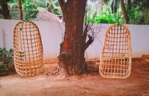 two baskets hanging from a tree next to a wall at Leela Resort in Karainagar +1 photo