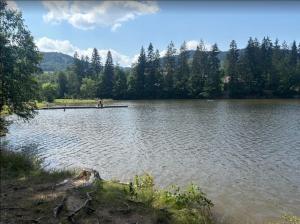 a lake with a group of people on a dock at Na samotě u lesa in Vsetín