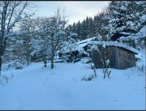 a log cabin in a snow covered field with trees at Na samotě u lesa in Vsetín +30 photos