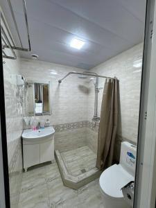 a bathroom with a shower and a sink and a toilet at Registan Palace in Samarkand