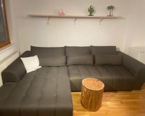 Posezení v ubytování Traunsee Apartment 60 m2