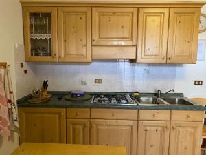 Кухня или мини-кухня в Residenze Ca del bosco Tremol fronte piste
