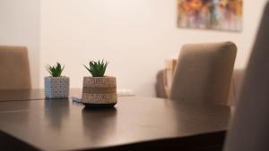 dos macetas sentadas sobre una mesa de madera en Ira's Square 2 Bedroom Apt Free Parking, en Skopje