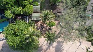 an overhead view of a beach with palm trees at Blue Lotus Resort in Baan Tai