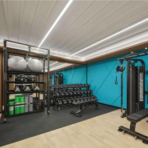 Fitness centrum a/nebo fitness zařízení v ubytování Hilton Garden Inn Beijing Yizhuang