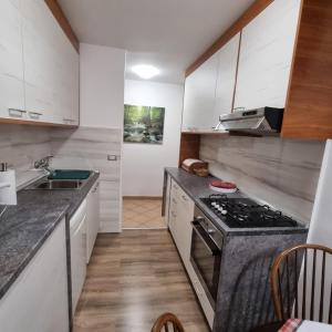 a kitchen with white cabinets and a stove top oven at APARTMENT GORDANA A4+2 FOR 6 PAX NATURE PARK in Lokve
