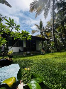 Zahrada ubytování Evergreenlodge