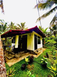 Zahrada ubytování Evergreenlodge