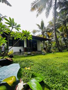 Zahrada ubytování Evergreenlodge