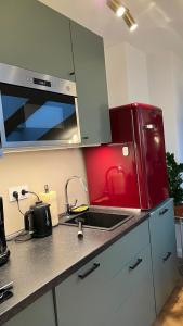 波兹南Le Cœur de la Ville的厨房里有水槽和微波炉