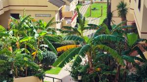 Ogród w obiekcie Casa Linda, Front the beach La Lucera, Ribiera del Sol Wifi, AC, Private Parking, Petfriendly
