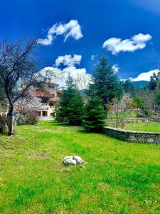 a green field with a house in the background at Arctic Loft by Ski Alure in Arachova