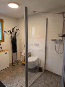 Koupelna v ubytování s´Vogelhüs + 16 fotografií