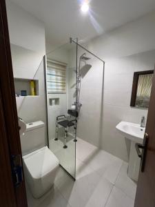 a bathroom with a shower and a toilet and a sink at OD Cribs Luxury Apartment and On demand Car Service in Aso