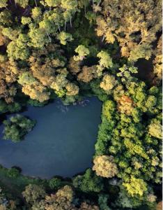 Fotografie z fotogalerie ubytování Château Caillivet au cœur d'un vignoble Bio 14 personnes v destinaci Mazères + 21 fotografií