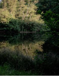 Fotografie z fotogalerie ubytování Château Caillivet au cœur d'un vignoble Bio 14 personnes v destinaci Mazères