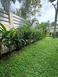 un jardín con plantas verdes junto a una valla en Casa Tropical Luxe, en Ko Pha Ngan