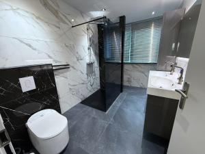 a bathroom with a toilet and a sink and a shower at Moderne woning Drachten 2 slaapkamers dichtbij centrum parking voor de deur in Drachten