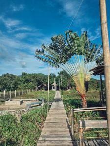 O grădină în afara Cabanas de Nacpan Camping Resort +65 fotografii