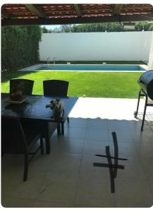 a dog sitting on a table in a patio at Casa con Alberca para 12 personas en Club de Golf el Cristo in Atlixco