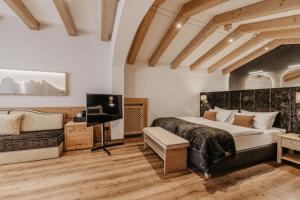 TV a/nebo společenská místnost v ubytování Freina Mountain Lifestyle Hotel