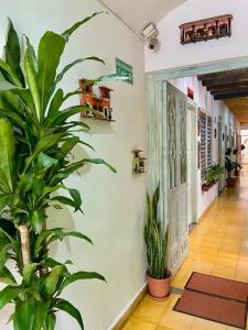 Imagine din galeria proprietății Hotel Boutique Stay La 10 în Medellín