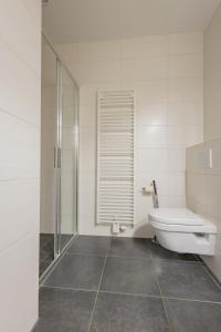 a bathroom with a shower and a toilet and a sink at Duinhof VIII D201 in Cadzand +6 photos